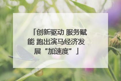 创新驱动 服务赋能 跑出演马经济发展“加速度”