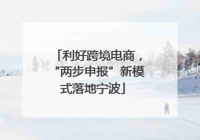 利好跨境电商，“两步申报”新模式落地宁波