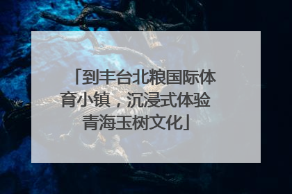 到丰台北粮国际体育小镇，沉浸式体验青海玉树文化