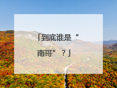到底谁是“南哥”？