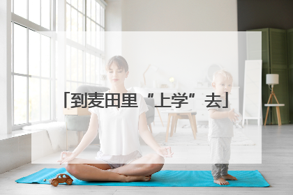 到麦田里“上学”去