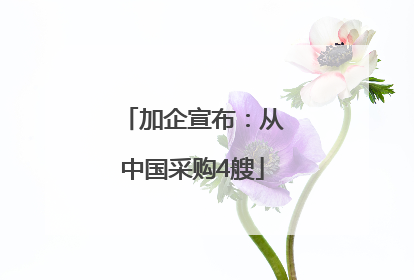 加企宣布：从中国采购4艘