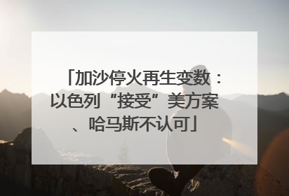 加沙停火再生变数：以色列“接受”美方案、哈马斯不认可
