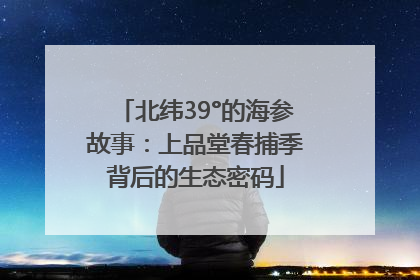 北纬39°的海参故事：上品堂春捕季背后的生态密码