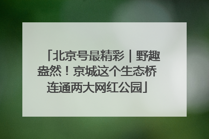 北京号最精彩｜野趣盎然！京城这个生态桥连通两大网红公园