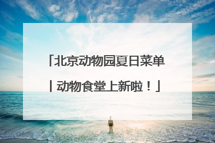 北京动物园夏日菜单丨动物食堂上新啦！