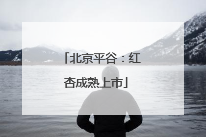 北京平谷：红杏成熟上市