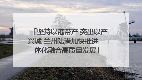 坚持以港带产 突出以产兴城 兰州陆港加快推进一体化融合高质量发展