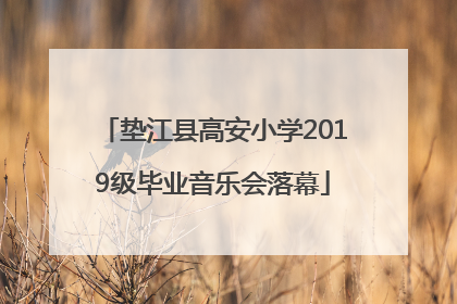 垫江县高安小学2019级毕业音乐会落幕