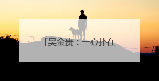 吴金贵：一心扑在乡村振兴的事业上