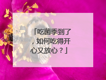 吃菌季到了，如何吃得开心又放心？