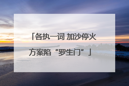 各执一词 加沙停火方案陷“罗生门”