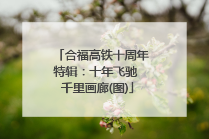 合福高铁十周年特辑：十年飞驰 千里画廊(图)