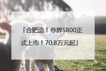 合肥造！尊界S800正式上市！70.8万元起