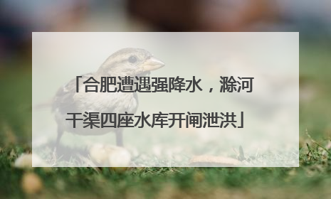 合肥遭遇强降水，滁河干渠四座水库开闸泄洪