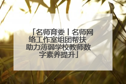 名师育娄丨名师网络工作室组团帮扶 助力薄弱学校教师数字素养提升