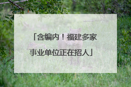 含编内！福建多家事业单位正在招人