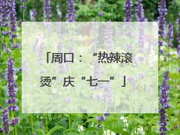 周口：“热辣滚烫”庆“七一”