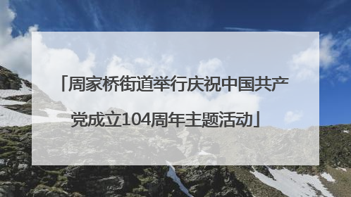 周家桥街道举行庆祝中国共产党成立104周年主题活动