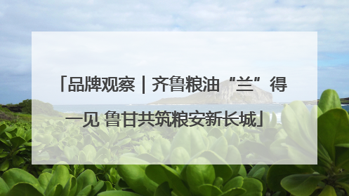 品牌观察｜齐鲁粮油“兰”得一见 鲁甘共筑粮安新长城