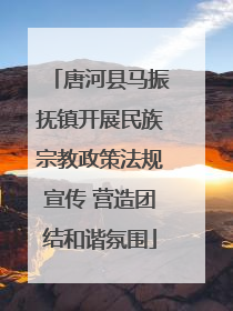 唐河县马振抚镇开展民族宗教政策法规宣传 营造团结和谐氛围
