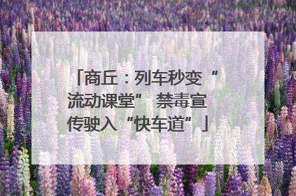 商丘：列车秒变“流动课堂” 禁毒宣传驶入“快车道”