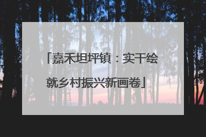 嘉禾坦坪镇：实干绘就乡村振兴新画卷
