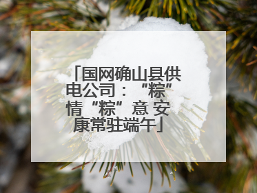 国网确山县供电公司：“粽”情“粽”意 安康常驻端午