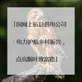 国网上杭县供电公司：电力护航乡村振兴，点亮烟叶致富路