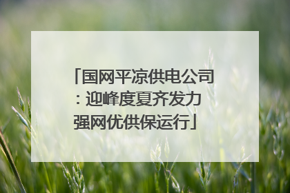 国网平凉供电公司：迎峰度夏齐发力 强网优供保运行