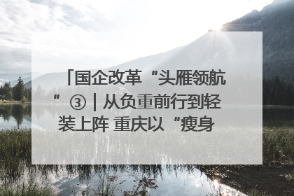 国企改革“头雁领航”③｜从负重前行到轻装上阵 重庆以“瘦身”谋“健体”