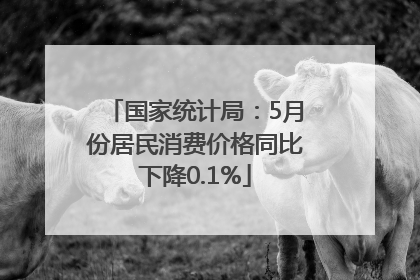 国家统计局：5月份居民消费价格同比下降0.1%