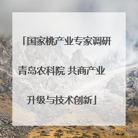 国家桃产业专家调研青岛农科院 共商产业升级与技术创新