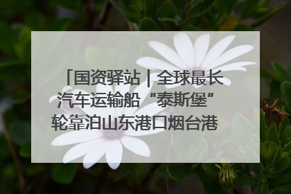 国资驿站｜全球最长汽车运输船“泰斯堡”轮靠泊山东港口烟台港；渤海最大油气平台完成浮托安装