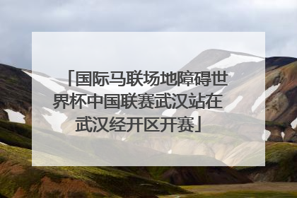 国际马联场地障碍世界杯中国联赛武汉站在武汉经开区开赛