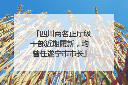 四川两名正厅级干部近期履新，均曾任遂宁市市长