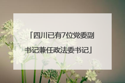 四川已有7位党委副书记兼任政法委书记