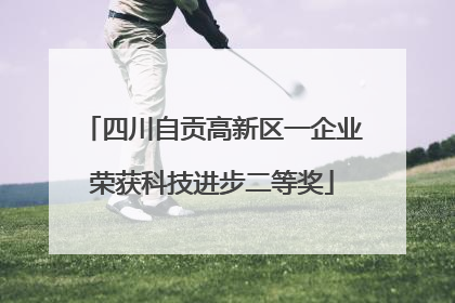 四川自贡高新区一企业荣获科技进步二等奖