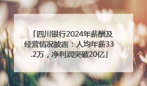 四川银行2024年薪酬及经营情况披露：人均年薪33.2万，净利润突破20亿