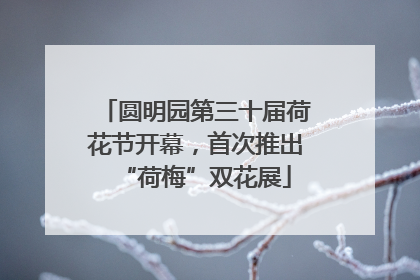 圆明园第三十届荷花节开幕，首次推出“荷梅”双花展