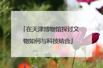 在天津博物馆探讨文物如何与科技结合