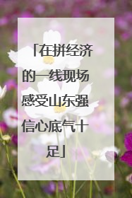 在拼经济的一线现场感受山东强信心底气十足