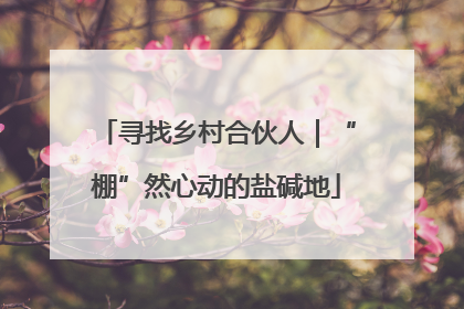 寻找乡村合伙人｜“棚”然心动的盐碱地