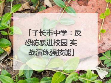 子长市中学：反恐防暴进校园 实战演练强技能