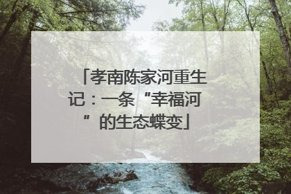 孝南陈家河重生记：一条“幸福河”的生态蝶变