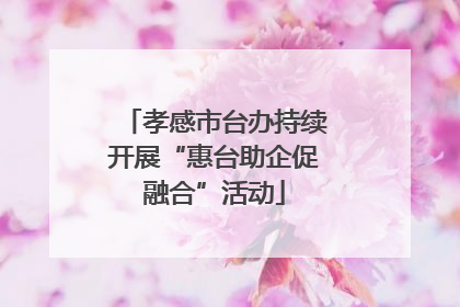 孝感市台办持续开展“惠台助企促融合”活动