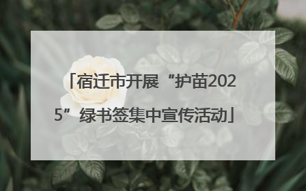 宿迁市开展“护苗2025”绿书签集中宣传活动