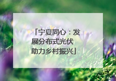 宁夏同心：发展分布式光伏 助力乡村振兴