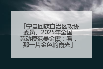 宁夏回族自治区政协委员、2025年全国劳动模范吴金霞：看，那一片金色的霞光