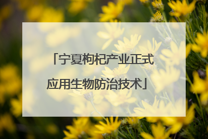 宁夏枸杞产业正式应用生物防治技术
